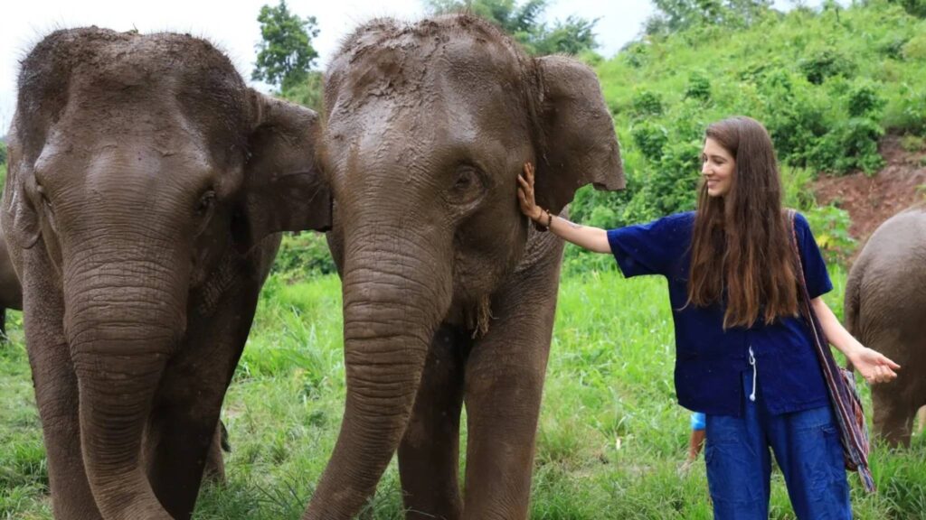 Tourist gently touching an elephant at Living Green Elephant Sanctuary, where the experience focuses on interaction rather than riding