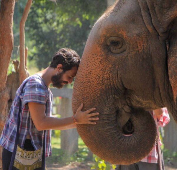 A man gently touching an elephant at Maerim Elephant Sanctuary during a Chiang Mai tour for an ethical elephant experience.