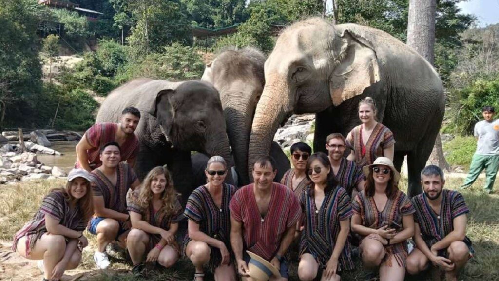 Visitors capture special moments with elephants on a Chiang Mai elephant tour.