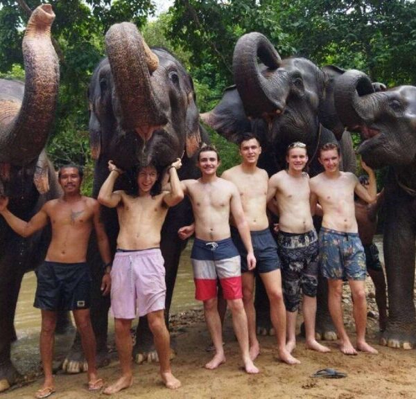 Group of travelers enjoying a Chiang Mai tour at an elephant sanctuary, posing with elephants in a lush jungle near a river.
