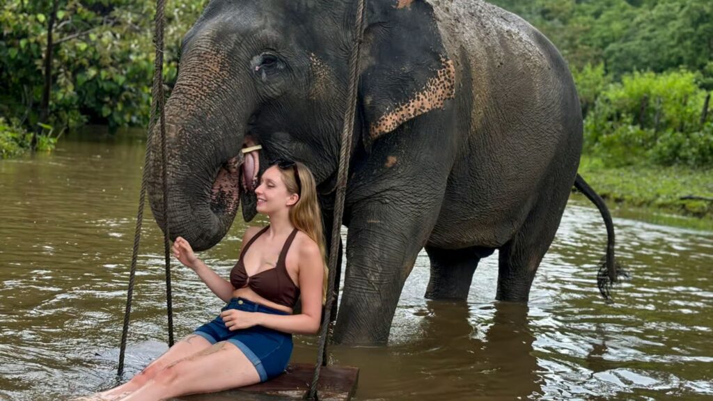 Traveler relaxing on a river swing with an elephant during a Chiang Mai excursion