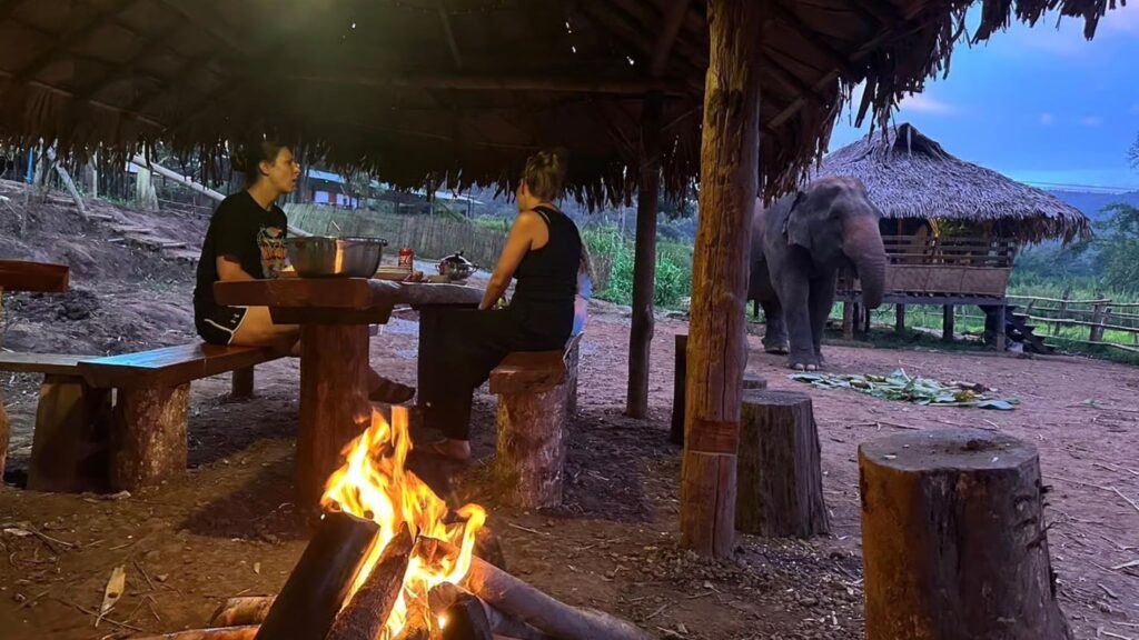 Campfire dinner at a jungle homestay with elephants nearby on a Chiang Mai excursion