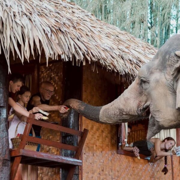Family feeding elephants from a bamboo hut during a Chiang Mai elephant excursion